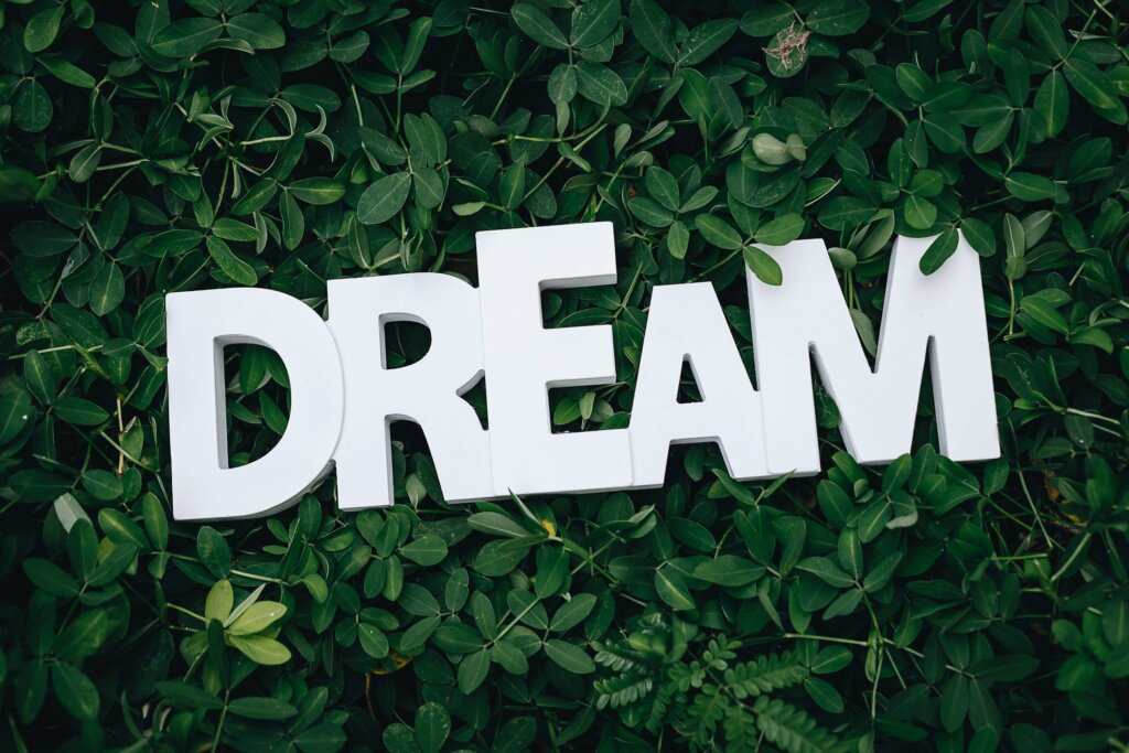 the word dream against a bunch of leave for decoration purposes only