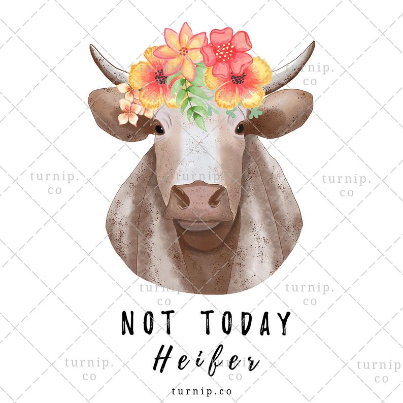 Not Today Heifer PNG Clipart Sublimation Graphic Cartoon PNG