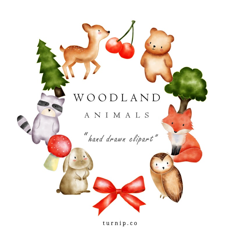 Watercolor Woodland Animal Clip Art Images Cartoon PNG