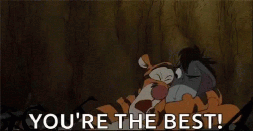 You Are The Best Youre The Best GIF - YouAreTheBest YoureTheBest Eeyore GIFs