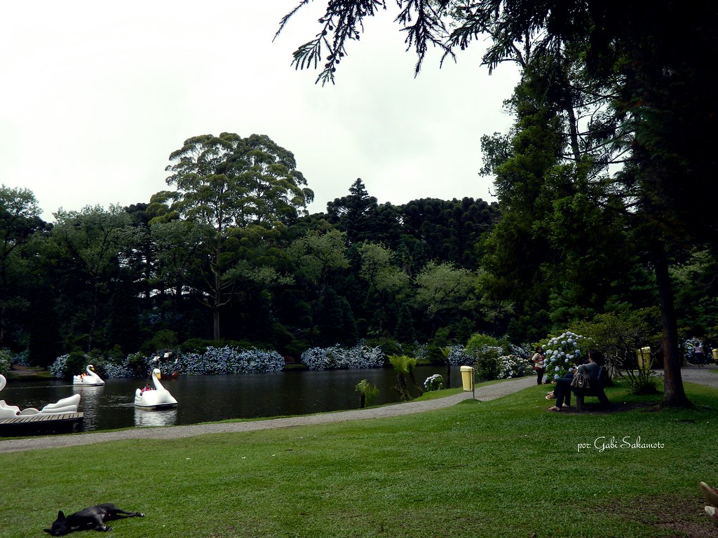 o que fazer em gramado em julho lado negro