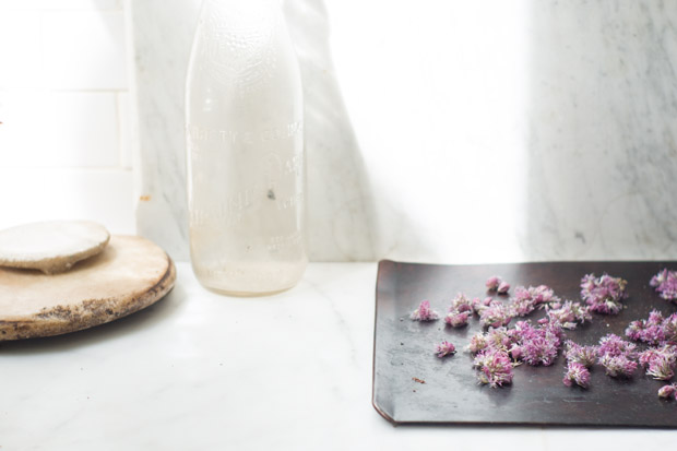 How to dry herbs