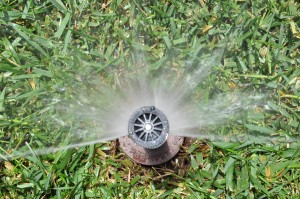 Sprinkler Repair