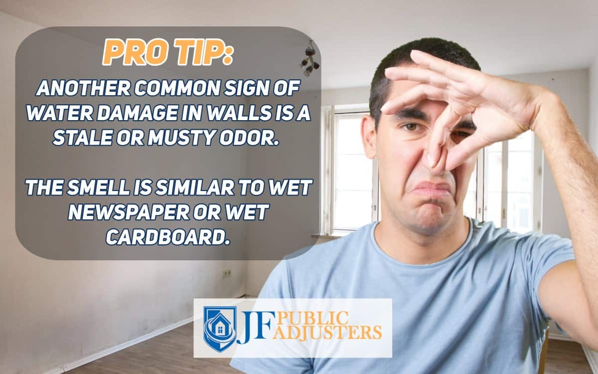 Signs of Water Damage in Walls - Musty Smell