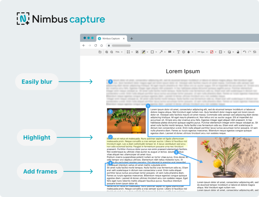 Nimbus Capture for Windows full Screenshot. Image powered by Nimbus Platform